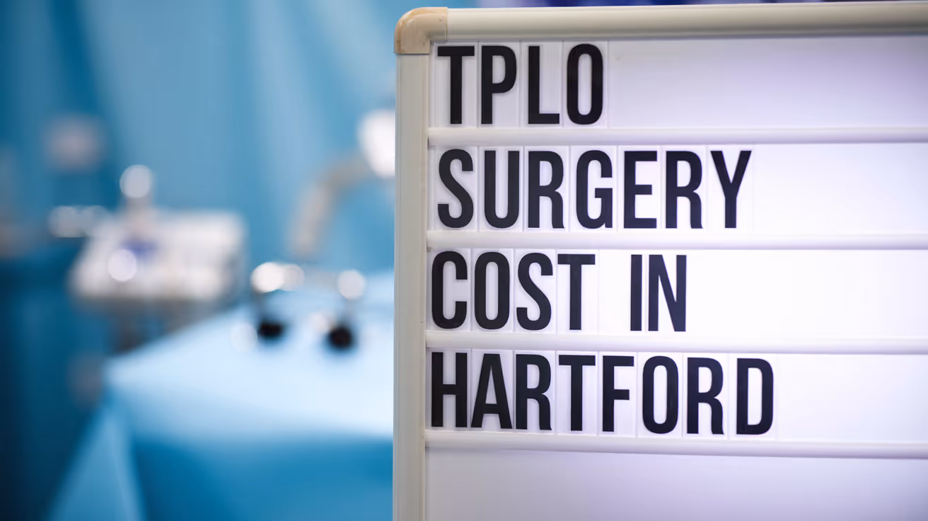 TPLO Surgery Cost in Hartford