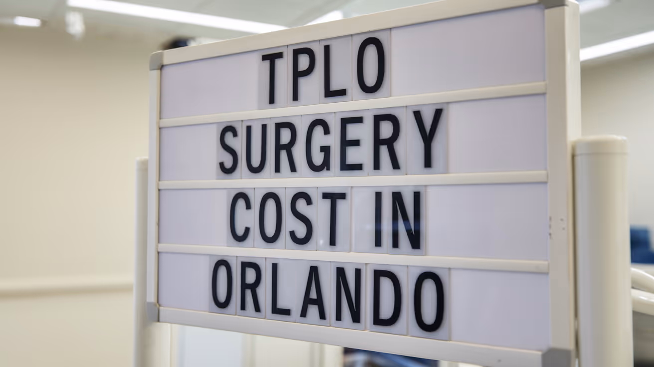 TPLO Surgery Cost in Orlando