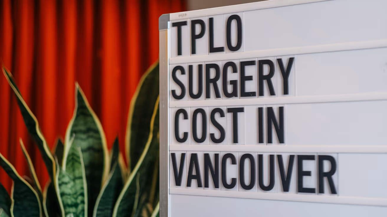 TPLO Surgery Cost in Vancouver