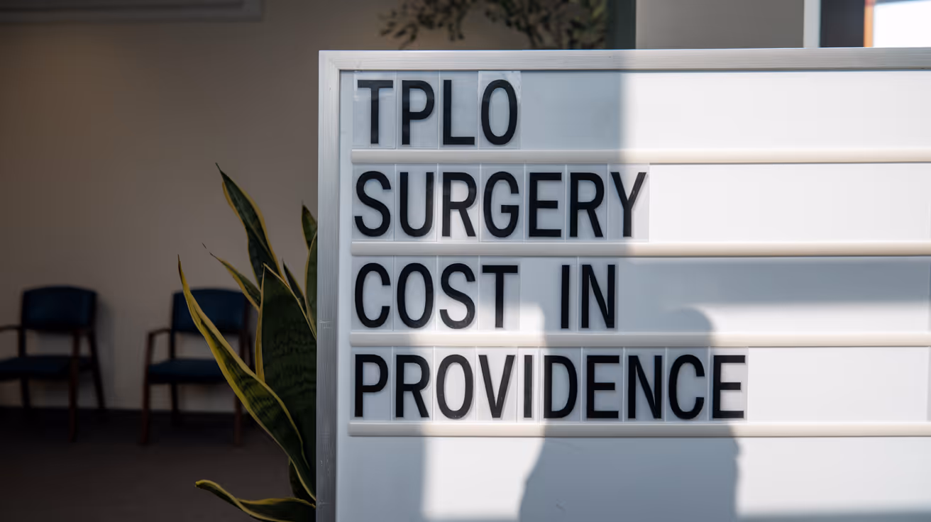 TPLO Surgery Cost in Providence