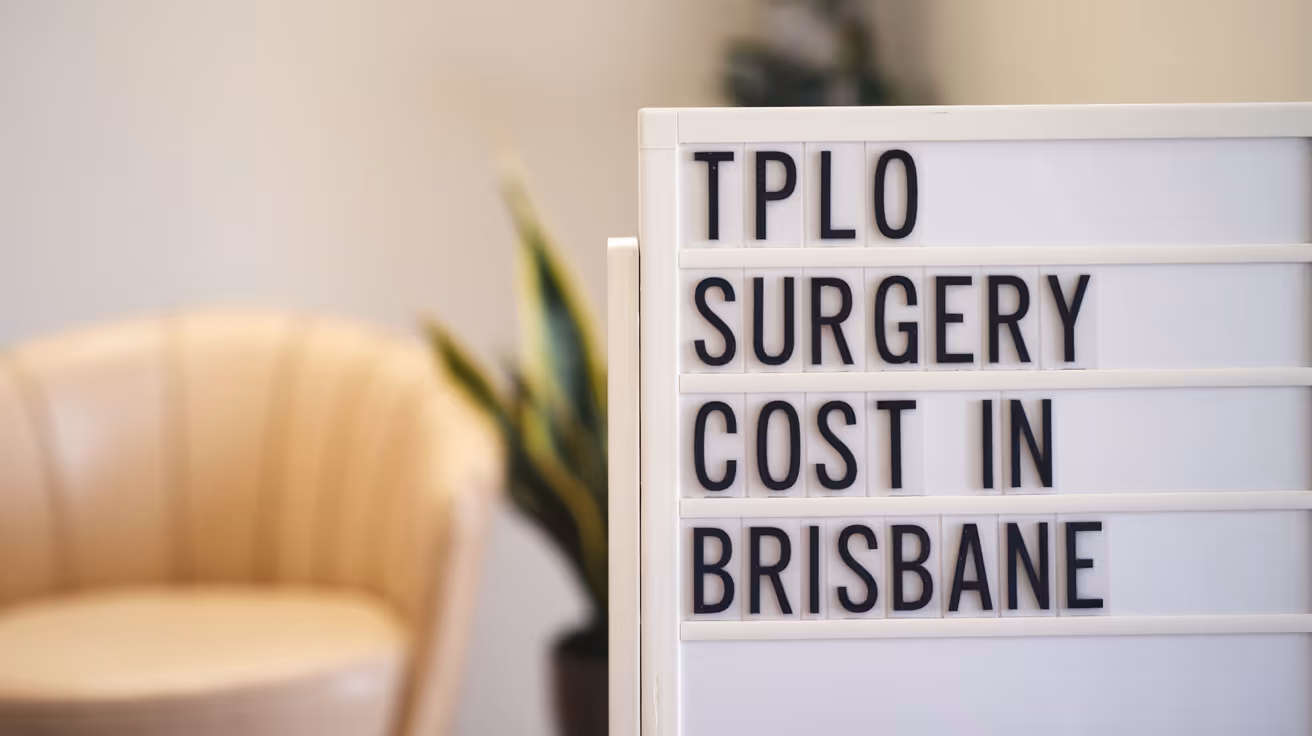 TPLO Surgery Cost in Brisbane