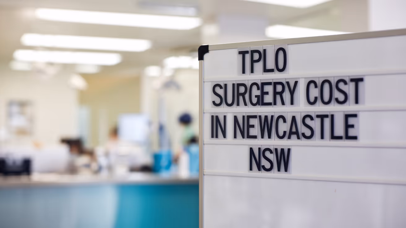 TPLO Surgery Cost in Newcastle NSW