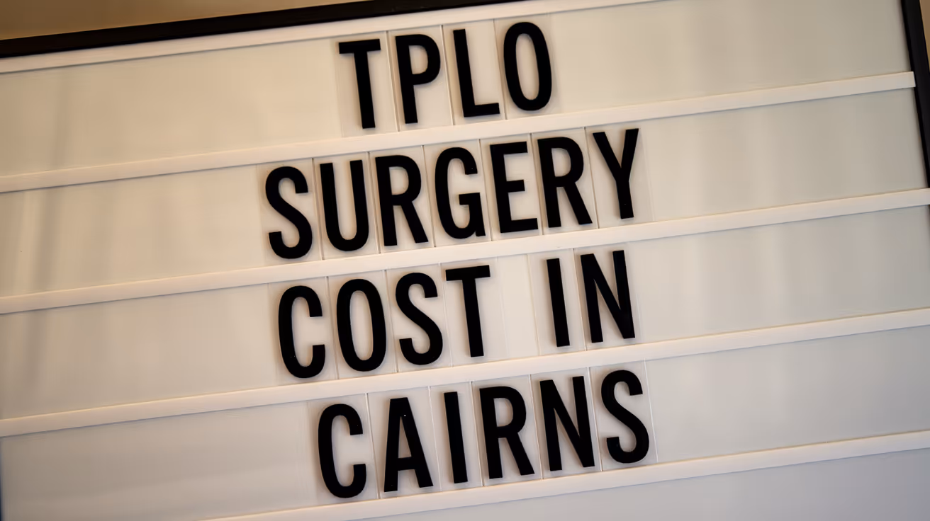 TPLO Surgery Cost in Cairns