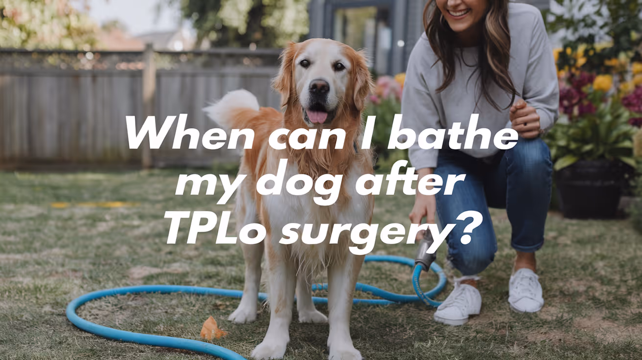 When Can I Bathe My Dog After TPLO Surgery?