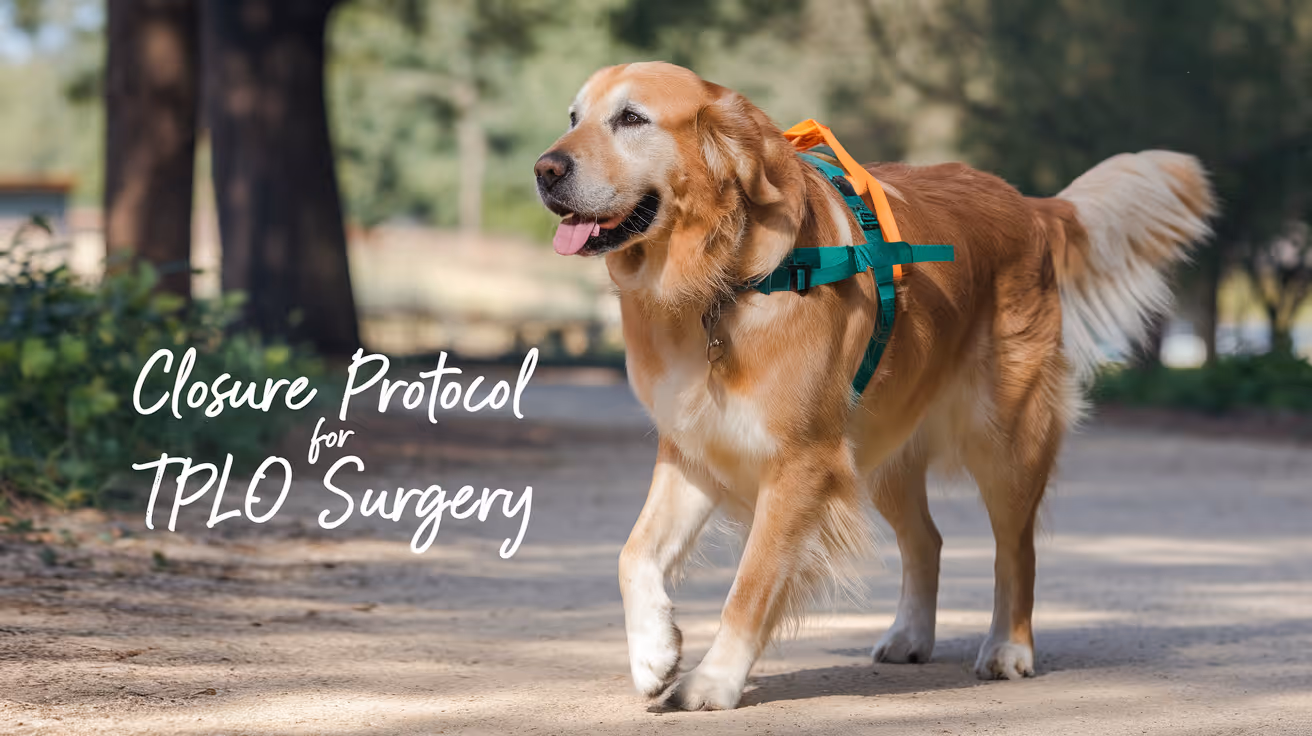 Closure Protocol for TPLO Surgery