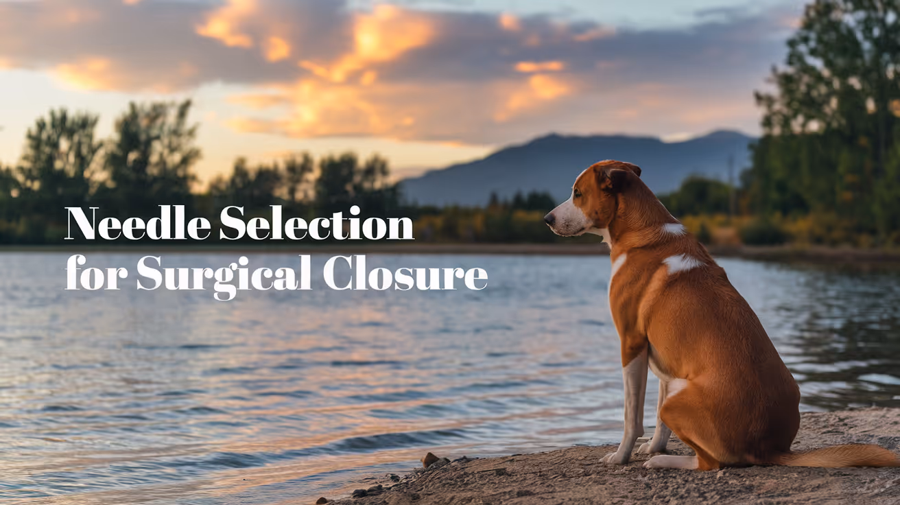 Needle Selection for Veterinary Surgical Closure