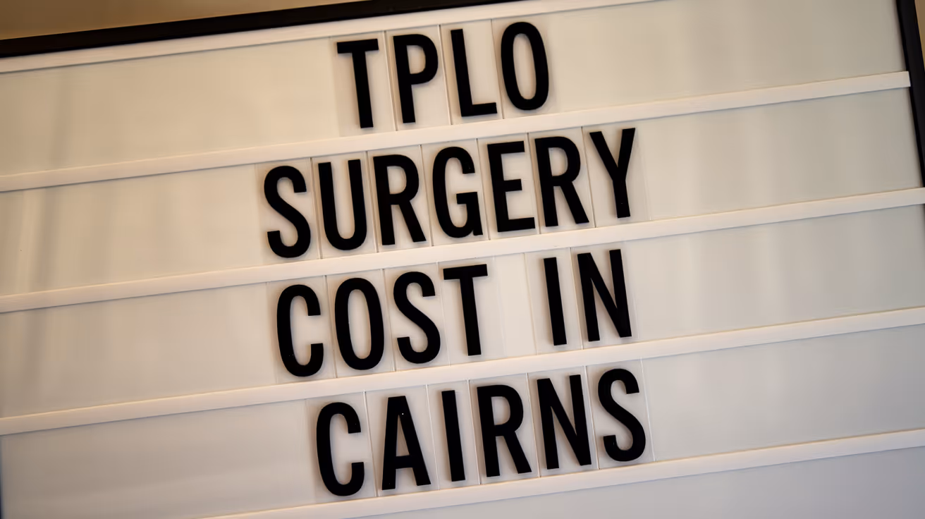 Costo de la cirugía TPLO en Cairns: guía completa