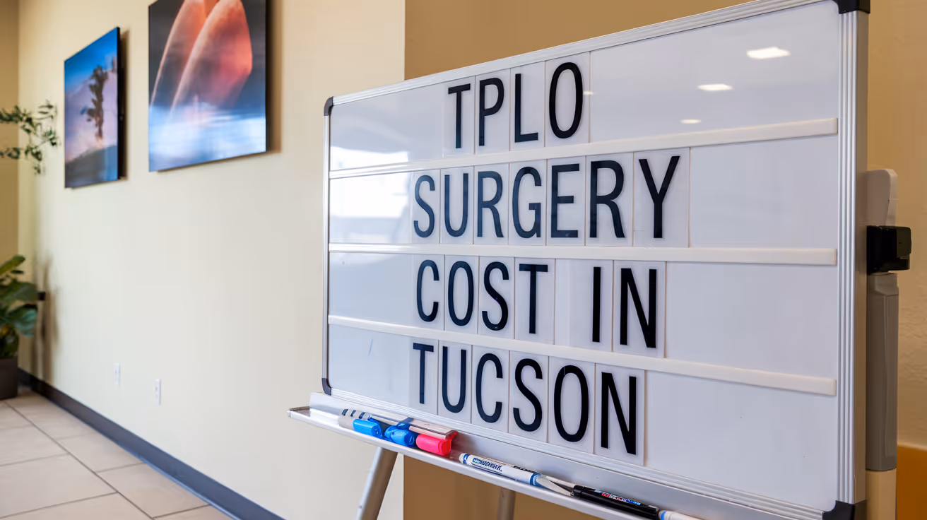 Coût de la chirurgie TPLO à Tucson : guide complet