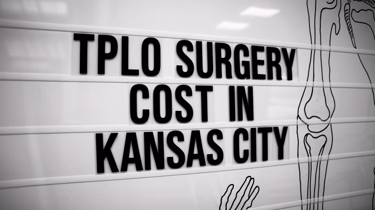 TPLO-Operation Kosten in Kansas City verstehen