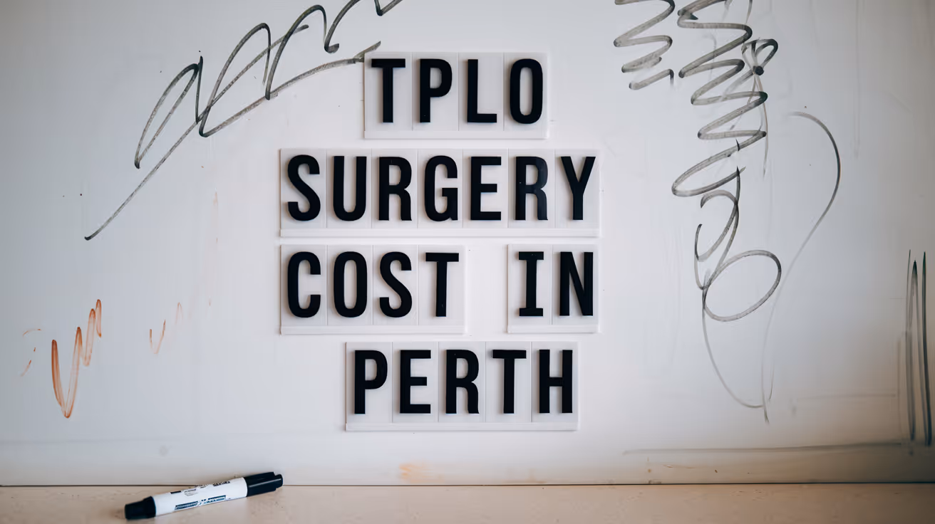 Costo de la cirugía TPLO en Perth: guía completa
