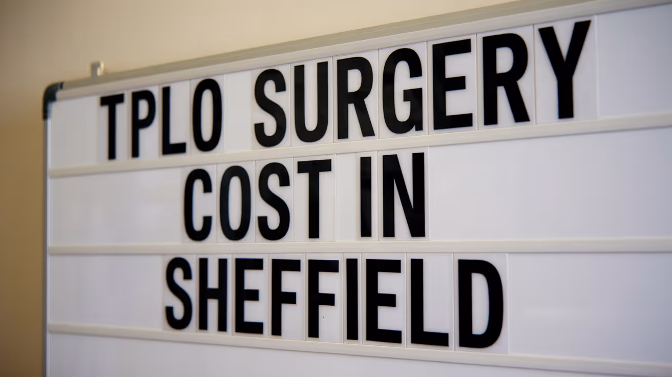 Costo de la cirugía TPLO en Sheffield: guía completa