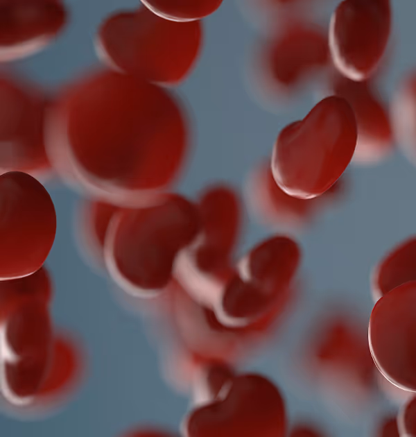 Graphic of red blood cells