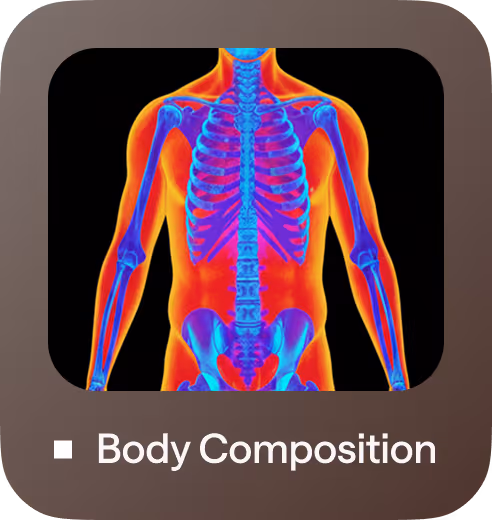 Thermal-style illustration of a human skeleton showing body composition.