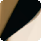 Abstract close-up of overlapping shapes with black, beige, and cream colors.