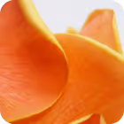 Close-up of orange flower petals with smooth texture and curved edges.