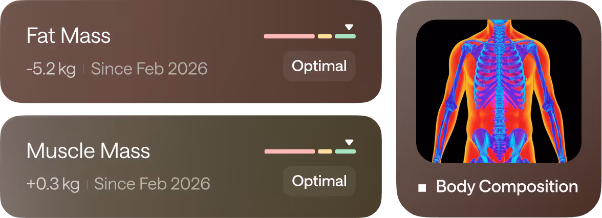 Body composition data showing fat mass decreased by 5.2 kg and muscle mass increased by 0.3 kg since February 2026, both labeled optimal, alongside a thermal image of a human skeleton and muscles.