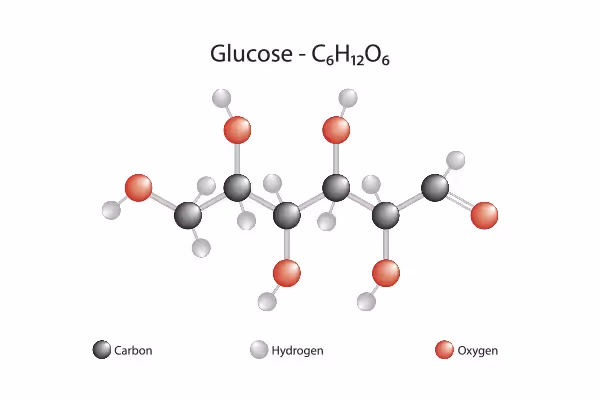 The facts about Glucose | Lifestyle Medical Centers