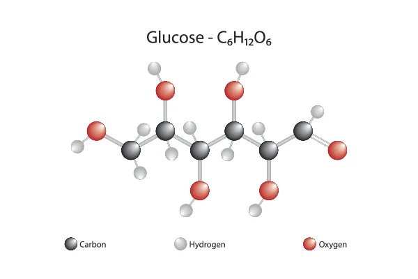 The facts about Glucose | Lifestyle Medical Centers