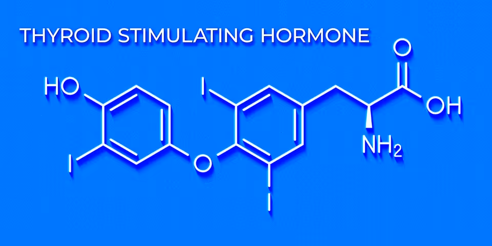 What is TSH (thyroid stimulating hormone)? — Clearblue®