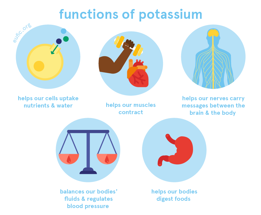 Potassium: foods, functions, how much do you need & more | Eufic