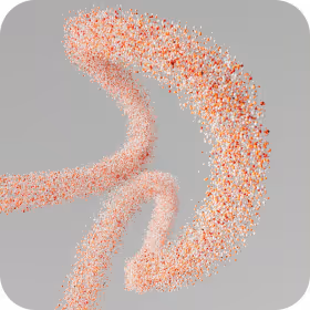 Microbiome & Gut Health