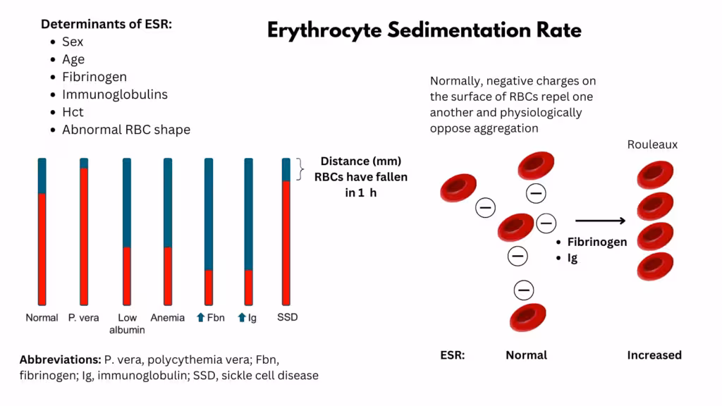 esr blood test