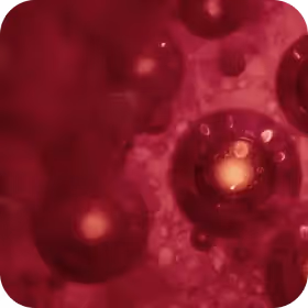 Full Advanced Bloods