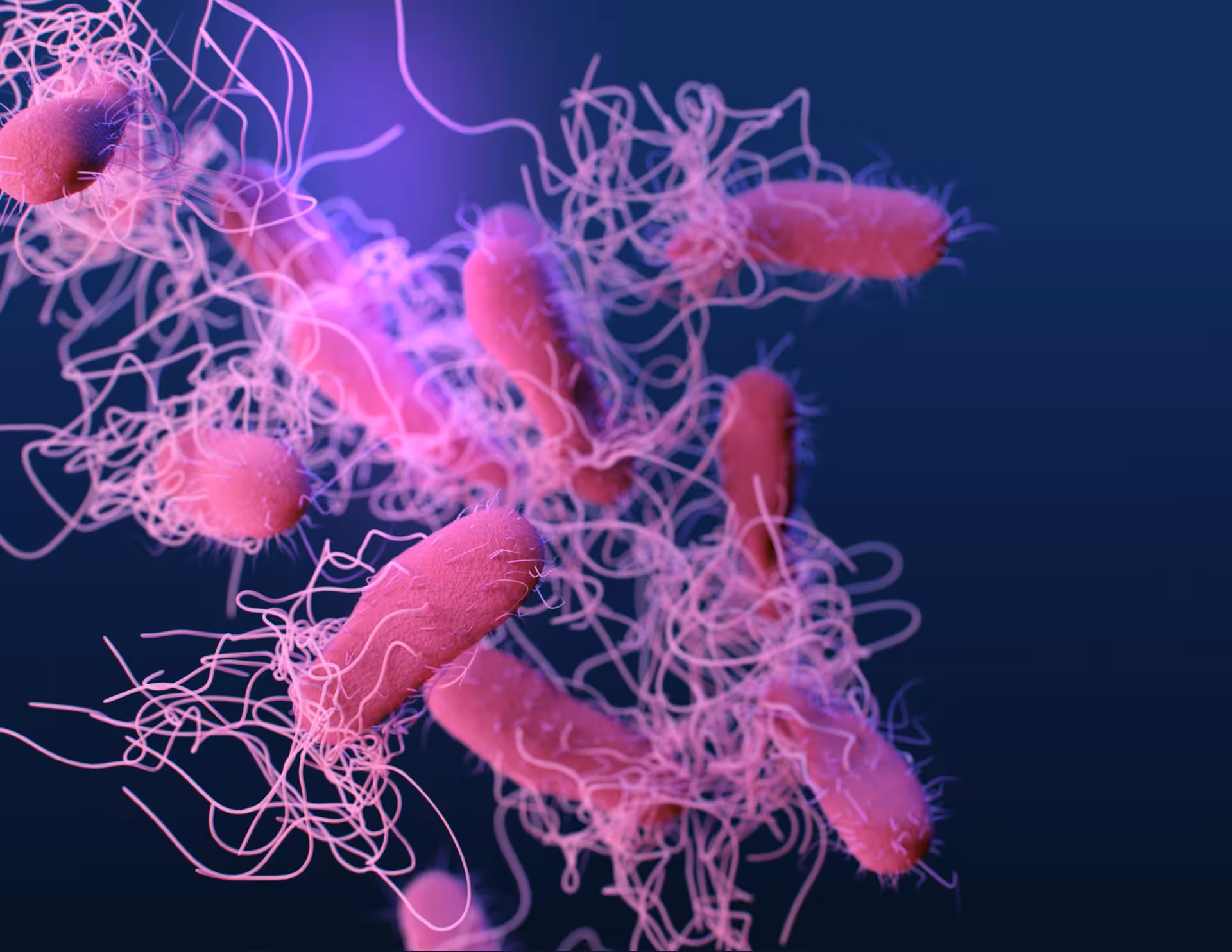 gut microbiome test