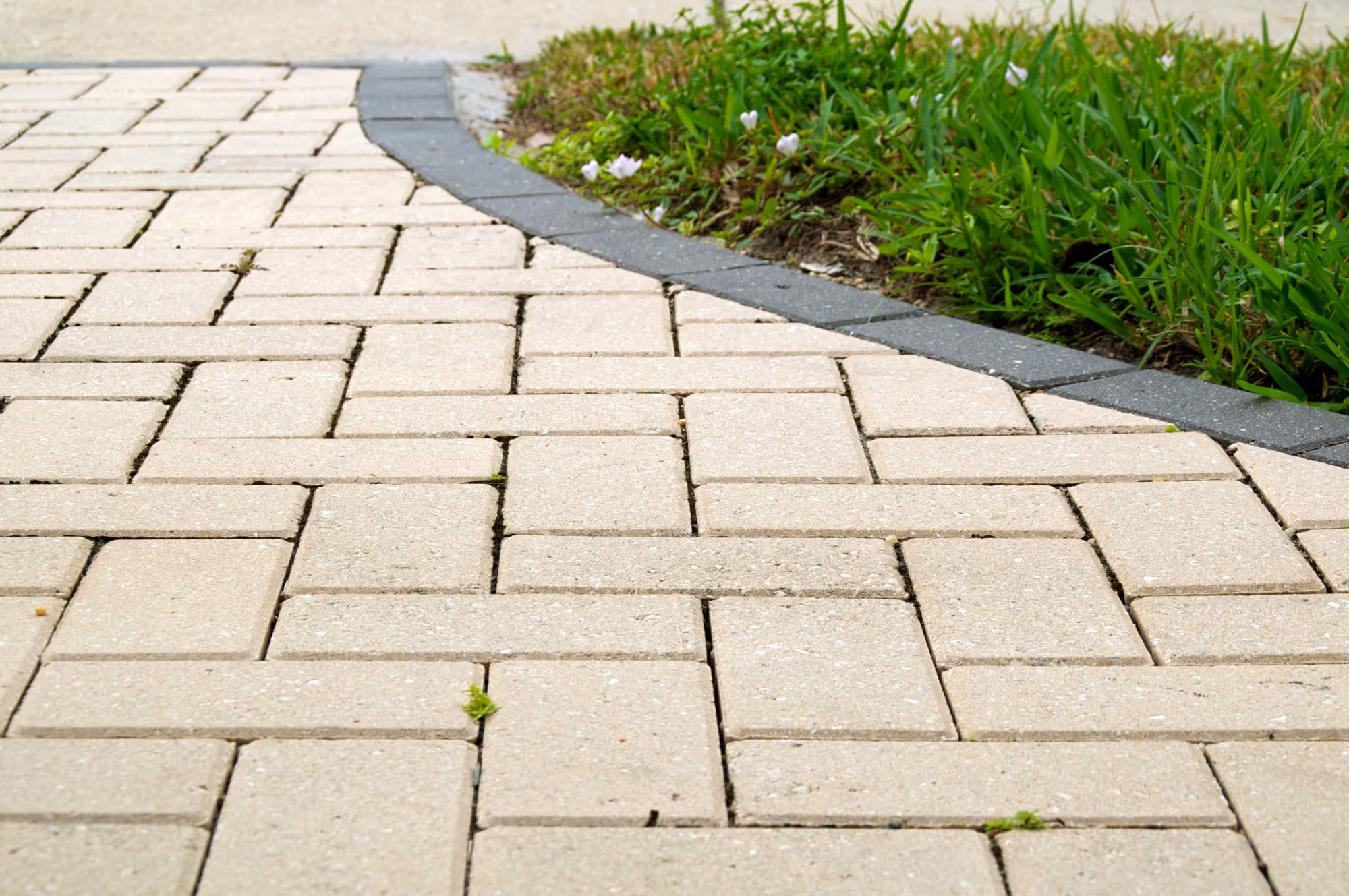A Guide to the Different Types of Pavers