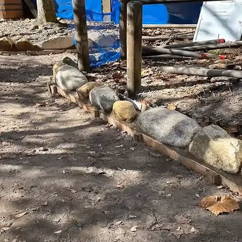 Hardscape Contractors in Orlando, FL
