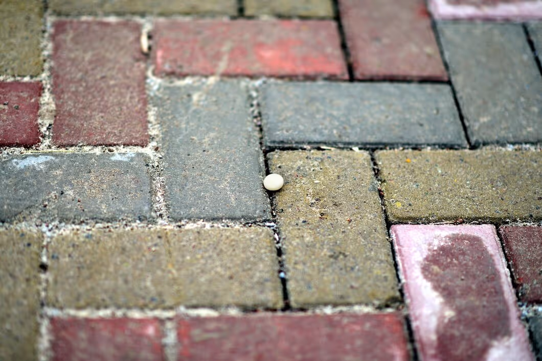 Removing Tough Stains from Pavers in Sanford