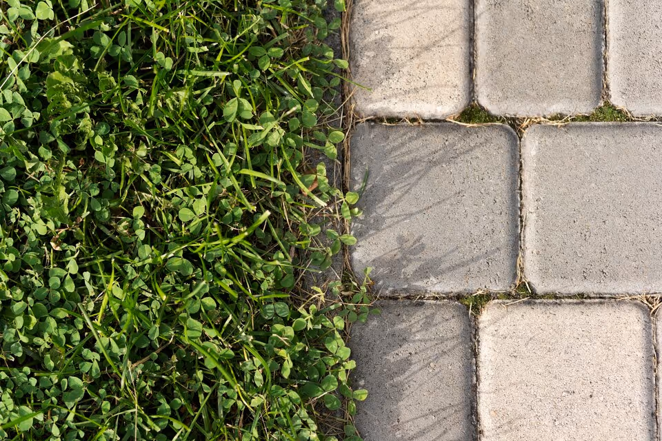 Preventing Brick Patio Settling in Doctor Phillips