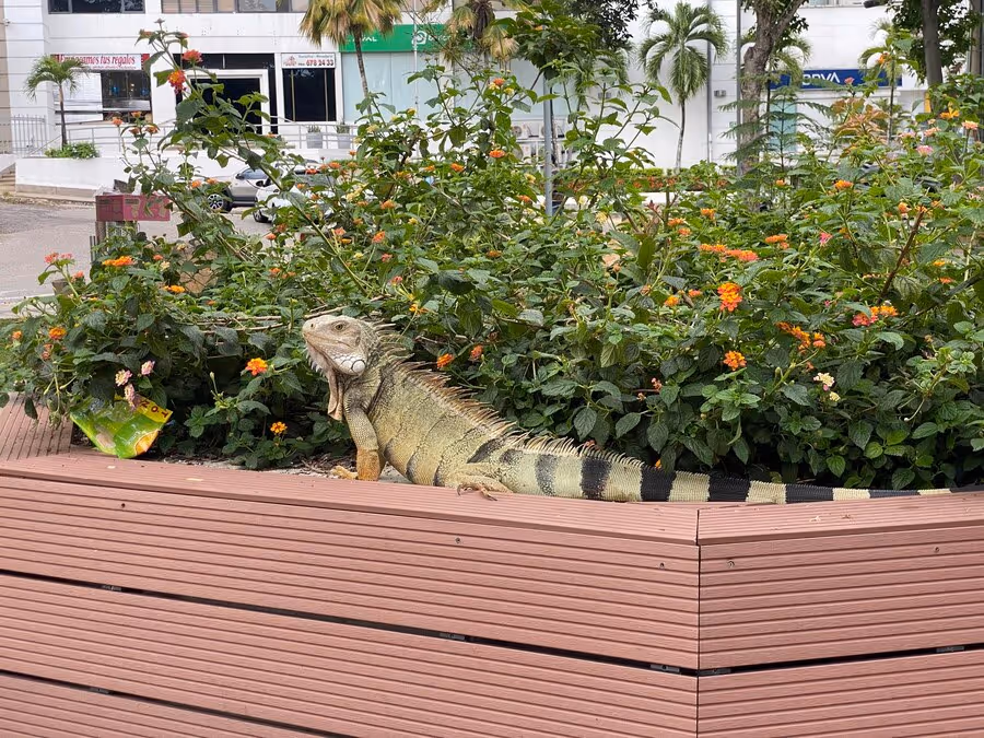 Adding Built-in Planters to Your Seating Walls