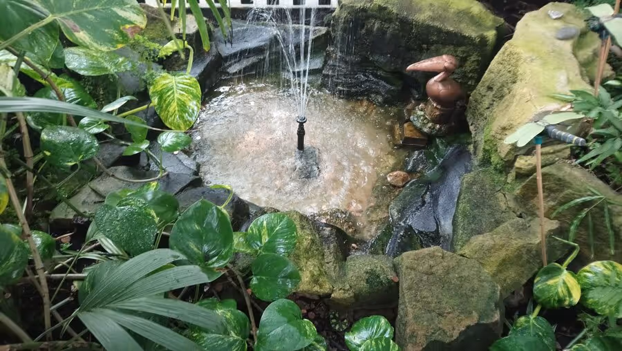 Incorporating Water Features in Your Hardscape