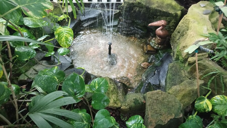 Incorporating Water Features in Your Hardscape