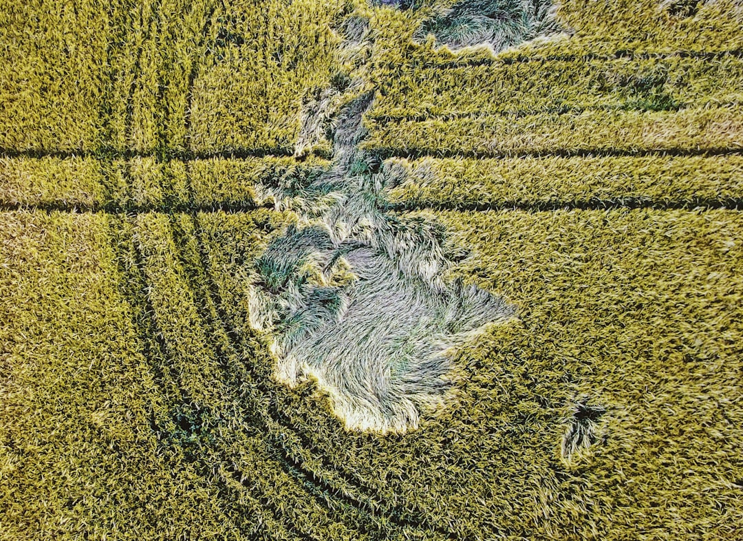 The Ultimate Guide to Turf Installation