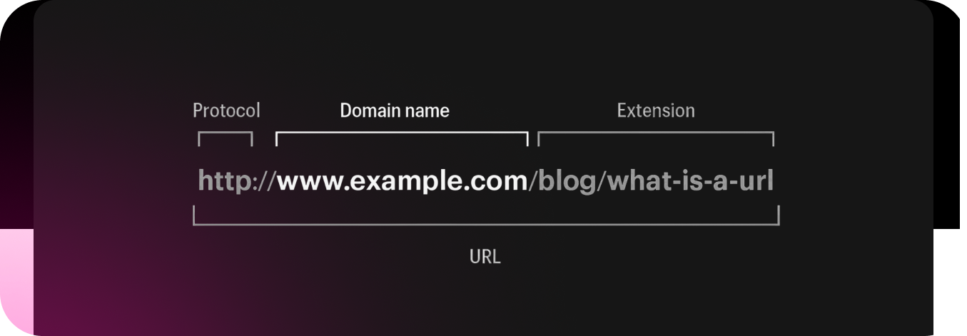 Breakdown of a URL