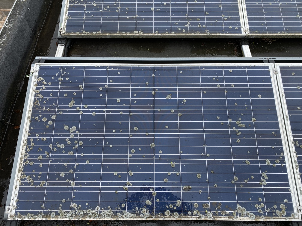 vuile zonnepanelen