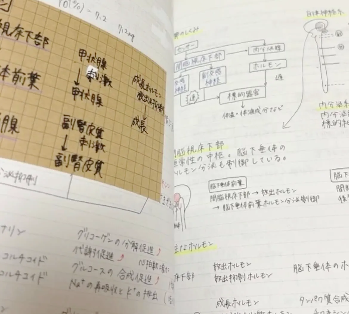 Tさんが受験勉強で使っていたノートの写真。