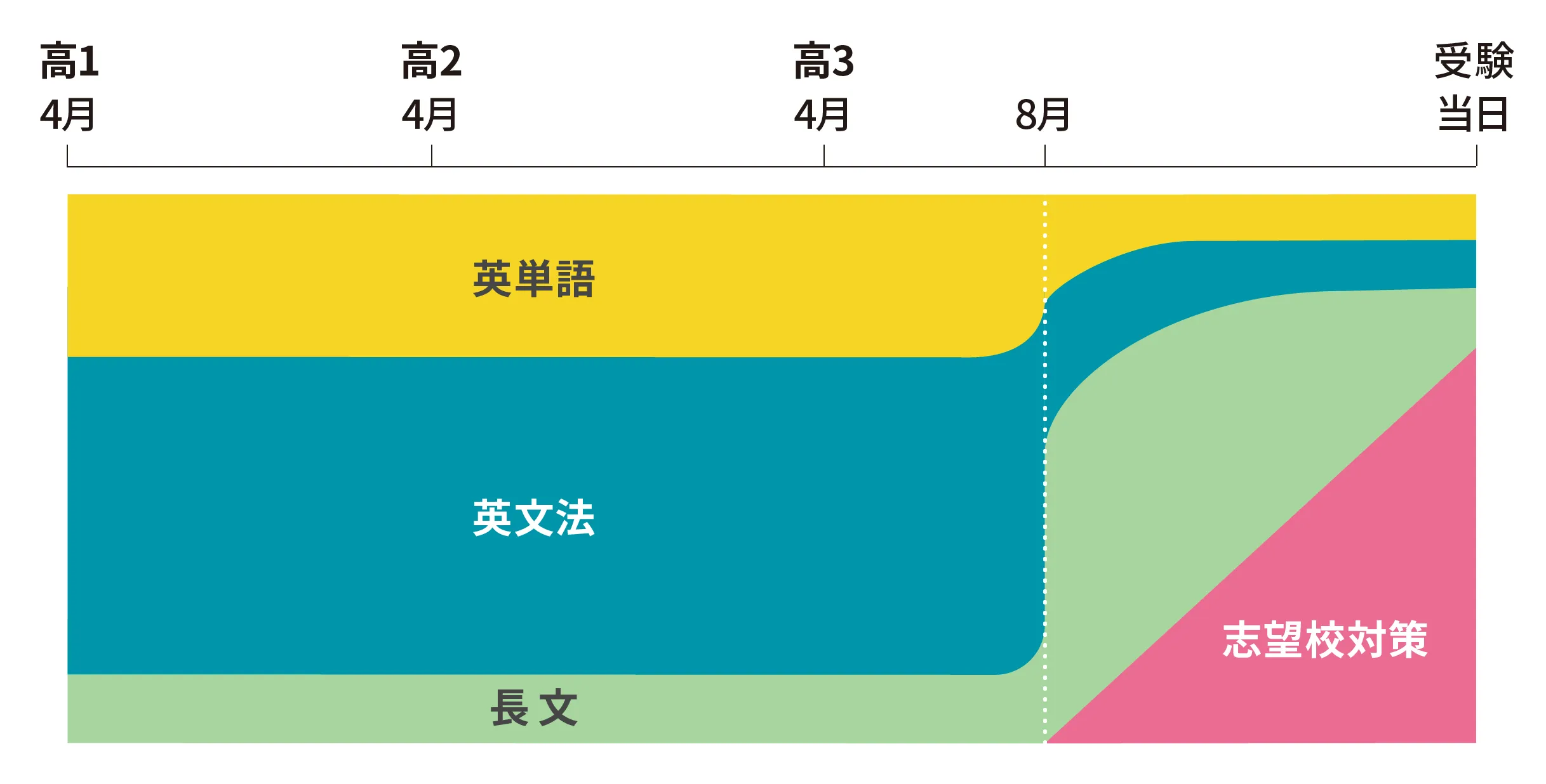 大学受験に向けた、英語学習のスケジュールの図。高3の8月までは英単語・英文法の割合が多く、高3の8月からは長文・志望校対策の割合が増える