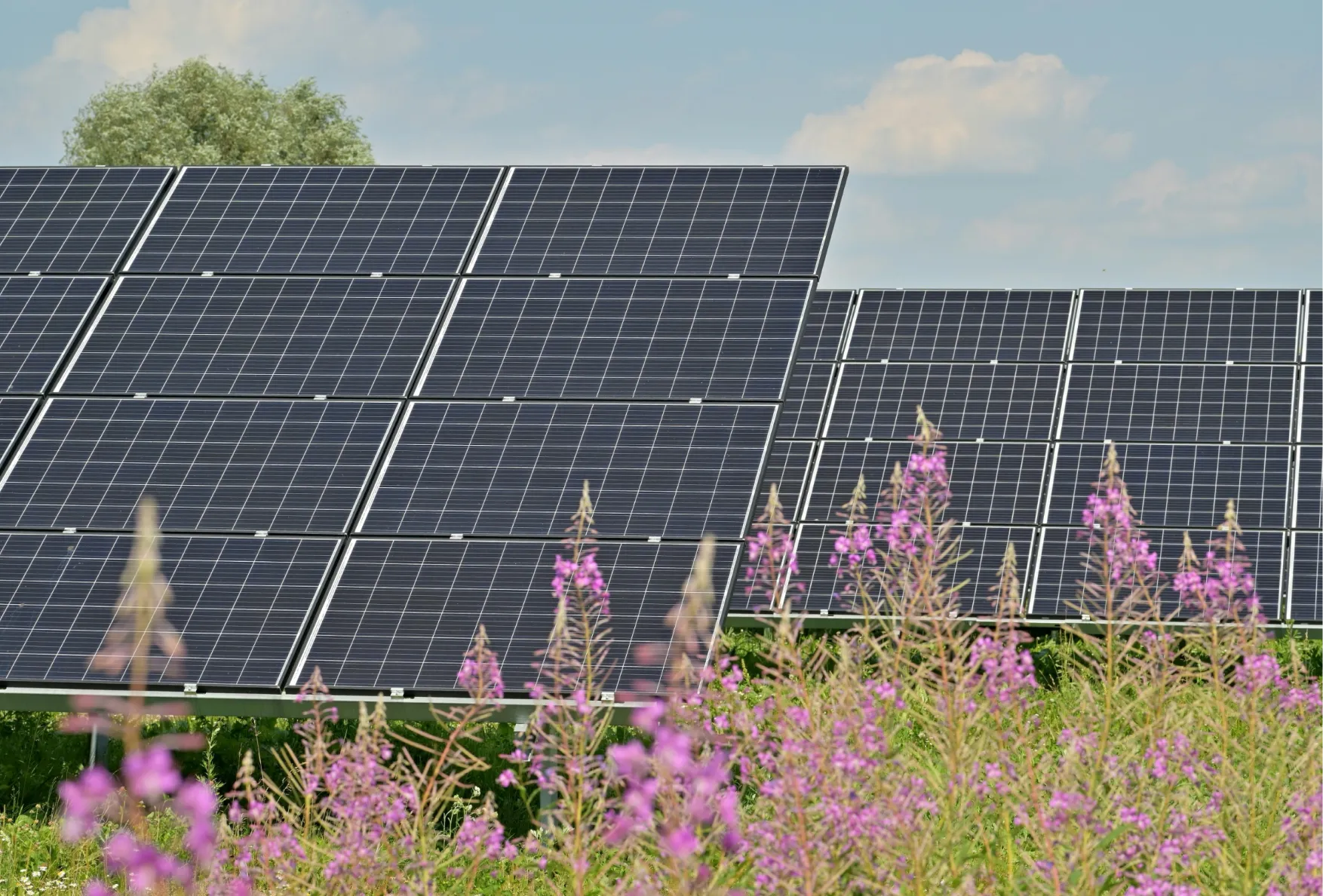 Solar Panel Image
