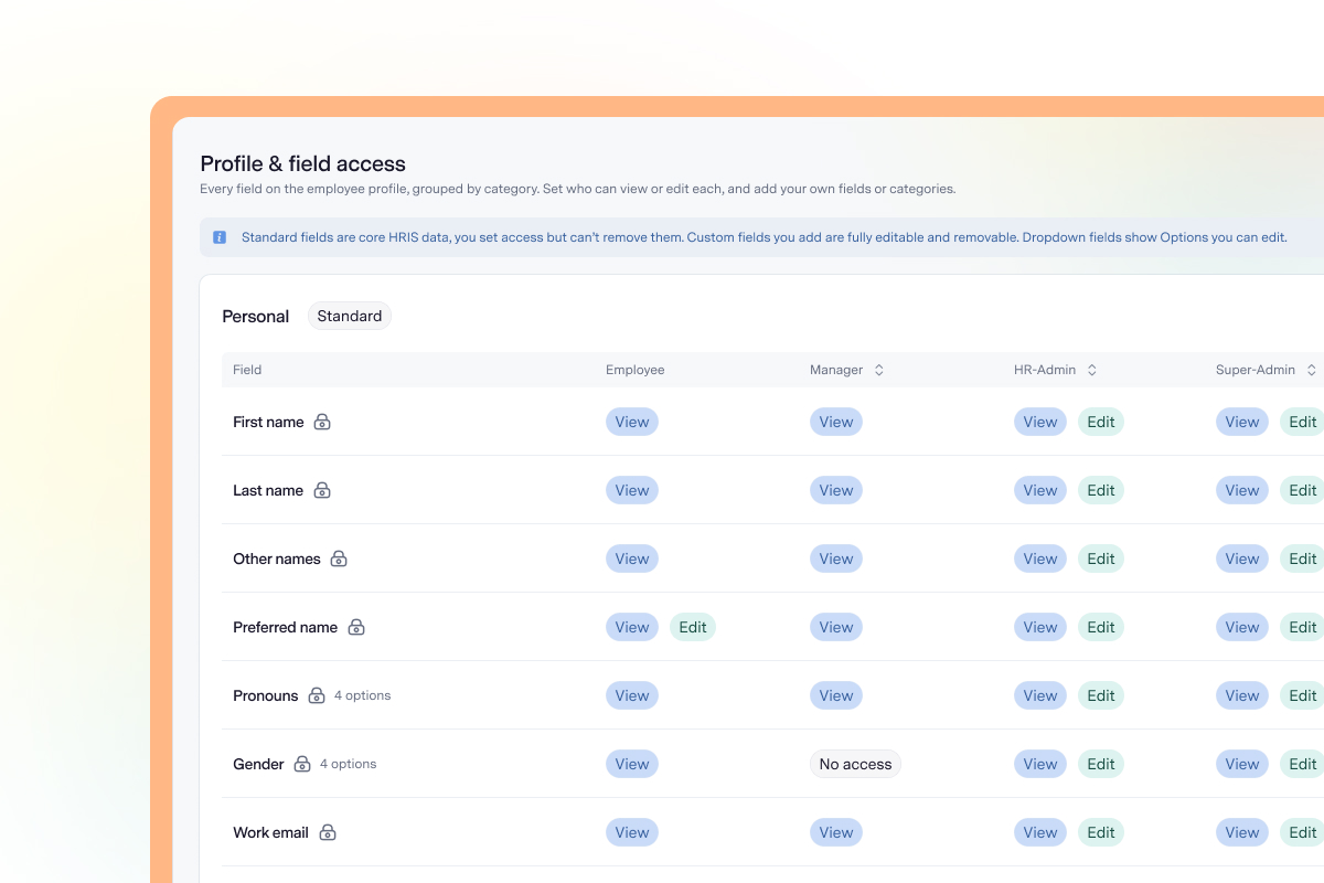 Access permissions and reporting in Talstack HRIS