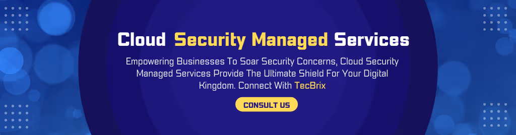 Cloud Security Managed Services - tecbrix.com