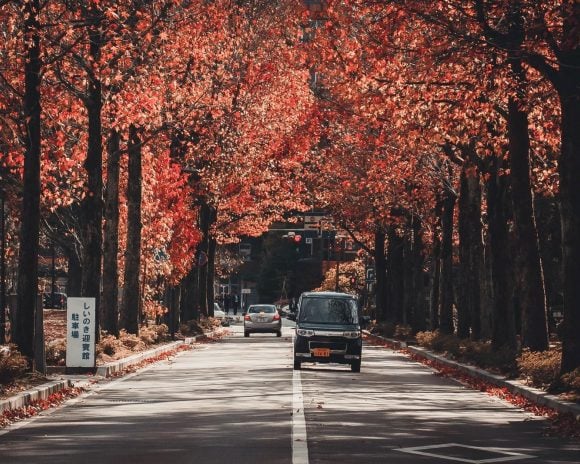 Les tensions entre le Japon et la Chine se sont ravivées