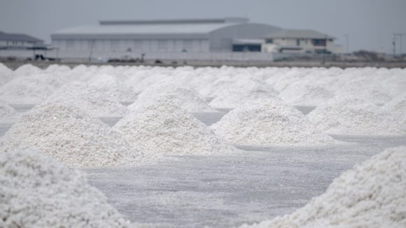 Batteries : Toyota alerte sur les tensions possibles autour des minéraux critiques