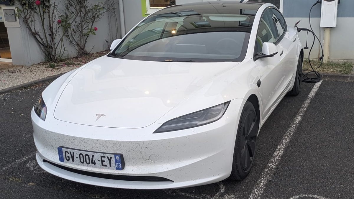 Votre prochain trajet peut aider la science : comptez les insectes sur votre plaque