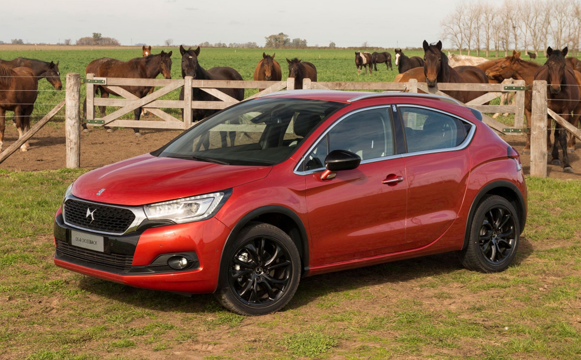 La DS 4 Crossback, version au style baroudeur de la première génération.