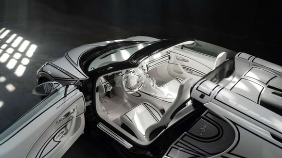 Bugatti Mistral Blanc Éternel : éléments sensibles à protéger
