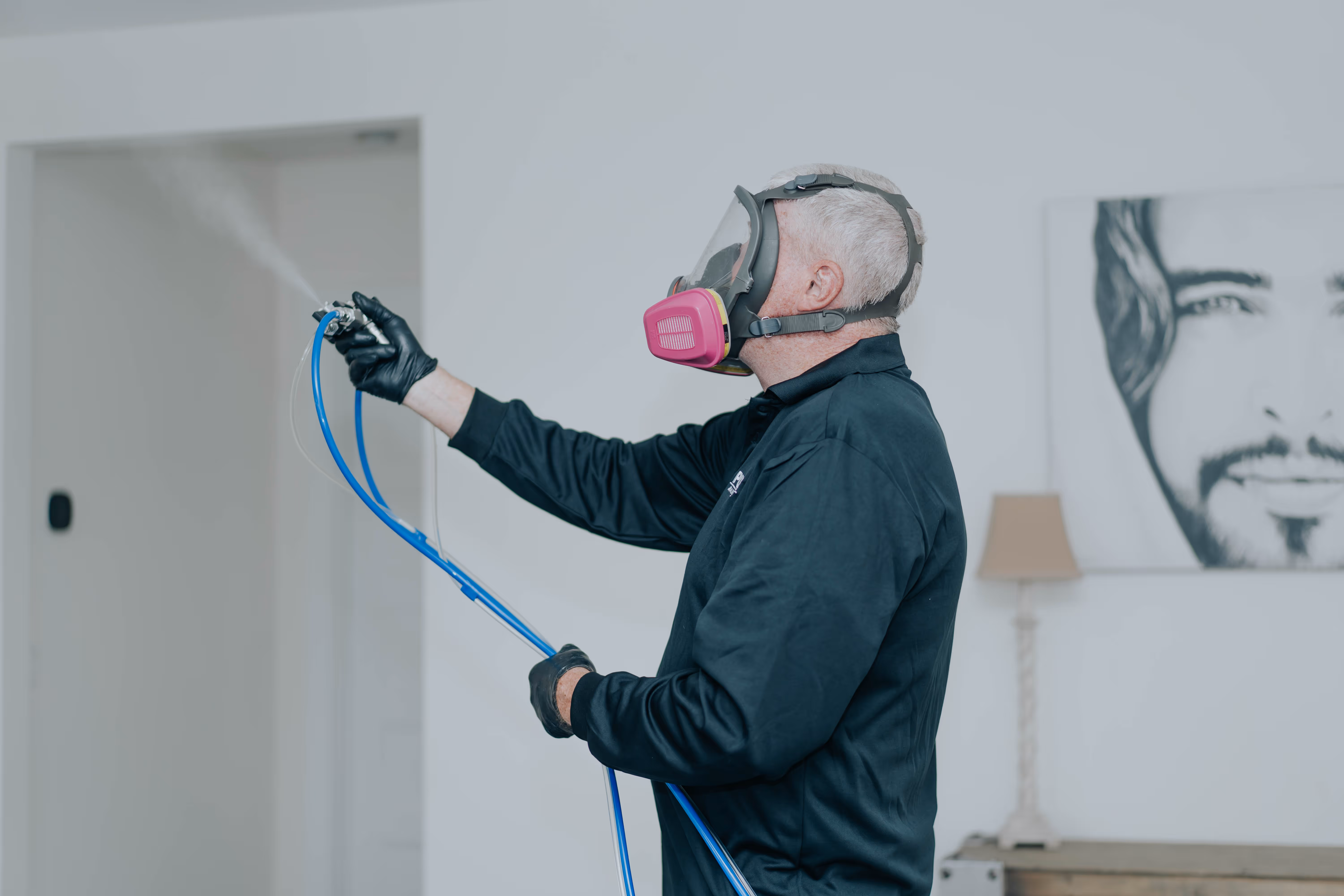 Mold remediation