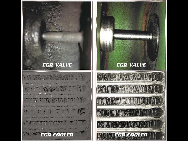 EGR System Service